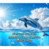 DELFINES UNICORNIO TREND 12