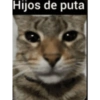 Hijos de puta
