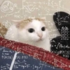 Cats (2/4) 18