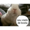 Dedo no cu e gritaria  14