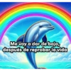 DELFINES UNICORNIO TREND 10