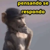 pensando se respondo