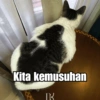 Bobby Kucing Prabowo 🐱 16