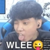 Wielino v1 9