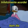Infelizmente acordei bom dia