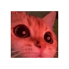 Kucing no context 20