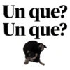 Dame un que un grr 13