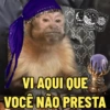 MACAQUINHOS EXPRESSIVOS 🐵 7