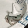 Frog 17