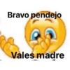 Bravo pendejo Vales madre