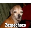 MEMEsTICKERS (1) 30