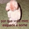 Coitadolândia 29