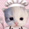 Kucing lucu 10