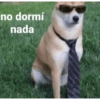 no dormí nada