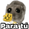 geysioy Para tú