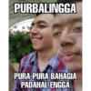PURBALINGGA PURA-PURA BAHAGIA PADAHAL ENGGA