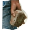 Enojado 24