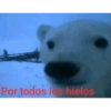 Shitpost Random 24