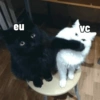 eu VC