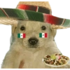 Mes patrio 🇲🇽 septiembre 🌮🇲🇽 4