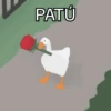PATÚ