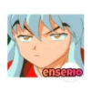 Inuyasha 13