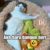 Bobby Kucing Prabowo 🐱 8