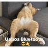 Meme #7 5