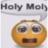 Holy Moly