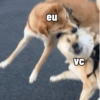 eu VC