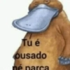Tú é ousado