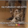 Mo Aaj mujhe kuch nahi sunna Mujhe bas Pom-Pom dekhne hai tumhare