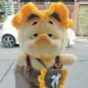 Upset Duck 14