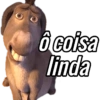 Memes aleatórios 10