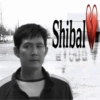 Shibal