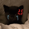 Gatitos enojados😡🐱 7