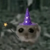 Cricetino Sad Hamster 5