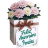 Feliz Aniversário  22