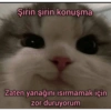 Catsarecute 21