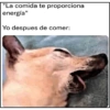 😂•MEMES•🤣 12
