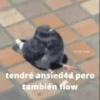 Animales Random 2🌸💥 19