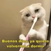 Animales Random 2🌸💥 16