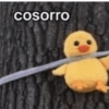 cosorro