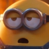 Minnions despicable me 15