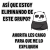Saquenlo del grupo 👥👍 6
