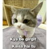 Cat love 7