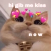 Sukritisbilliii 19