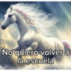 DELFINES UNICORNIO TREND 8