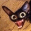 Kucing no context 9