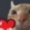 Kucing LUCU BGT 6